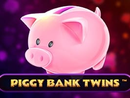 Piggy Bank Twins screenshot