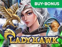 Lady Hawk screenshot
